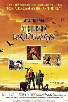 翠谷天伦ThoseCalloways海报