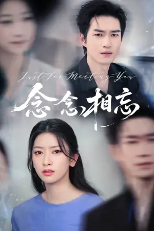 念念相忘海报