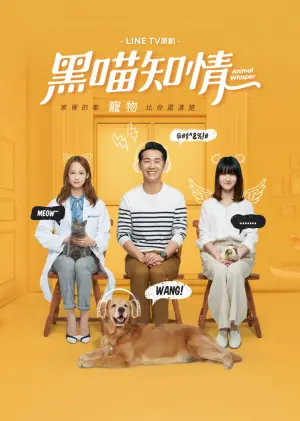 黑喵知情海报