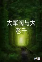 大军阀与大老千海报