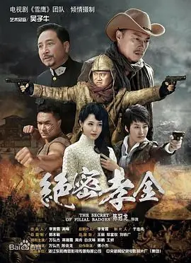 绝密孝金海报