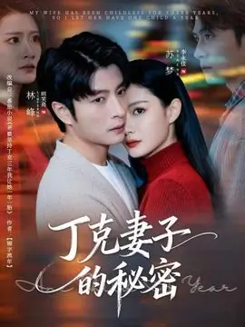 丁克妻子的秘密海报