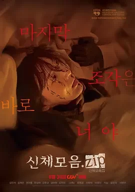 身体集合.zip[电影解说]海报