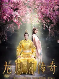 龙凤店传奇第二季海报