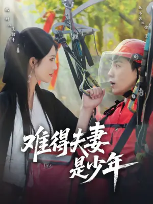 难得夫妻是少年海报