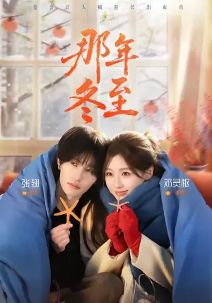 那年冬至海报