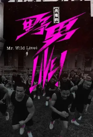 我推的野男LIVE!海报