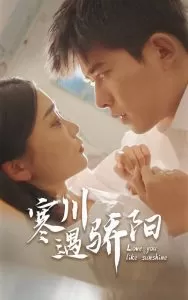 寒川遇骄阳海报