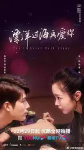 飘洋过海再爱你海报