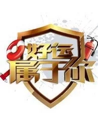 好运属于你2016海报