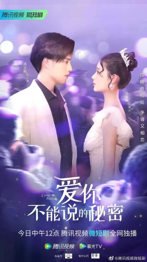 爱你·不能说的秘密海报