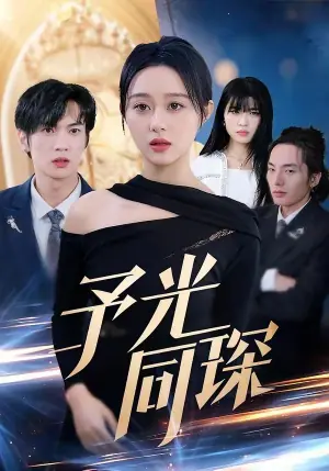 予光同琛海报