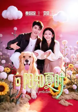 向阳知夏时海报