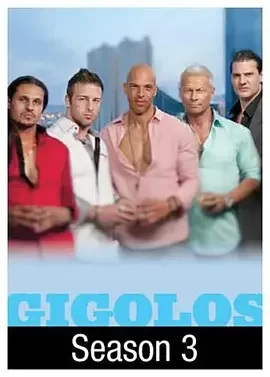 应召男郎第三季海报