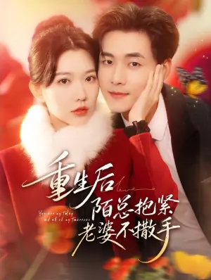 重生后陌总抱紧老婆不撒手海报