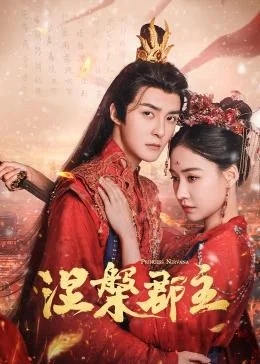 穿越时空的密令海报