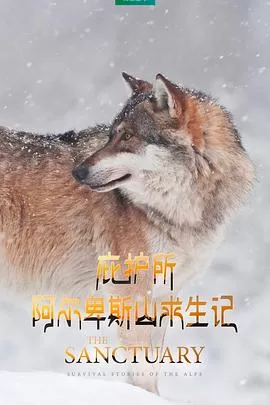 庇护所:阿尔卑斯山求生记海报