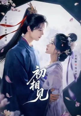 初相见海报