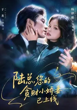 陆总,您的贪财小娇妻已上线海报