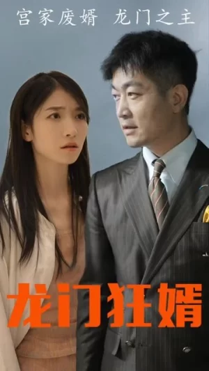 龙门狂婿海报