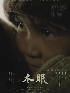 冬眠海报