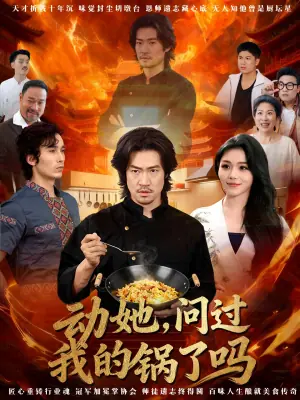 动她,问过我的锅了吗海报