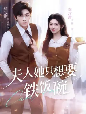 夫人她只想要铁饭碗海报