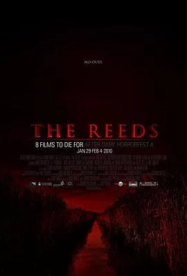 芦苇地海报