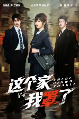 这个家我罩了海报