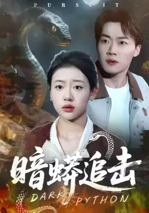 暗蟒追击海报