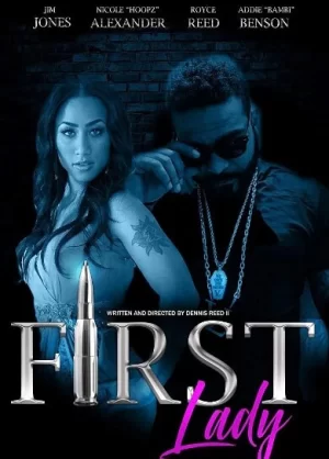 第一夫人海报