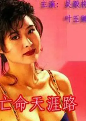 亡命天涯路(国语)海报