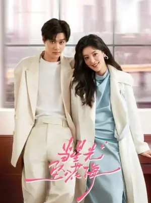 当星光坠入花海海报