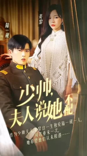 少帅夫人说她不配海报