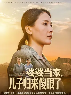 婆婆当家,儿子归来傻眼了海报