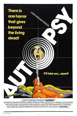 连环裸尸案海报