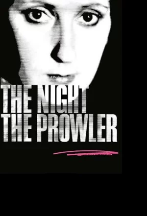 徘徊者之夜海报