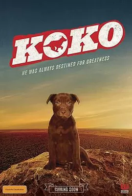 Koko:红犬历险记海报