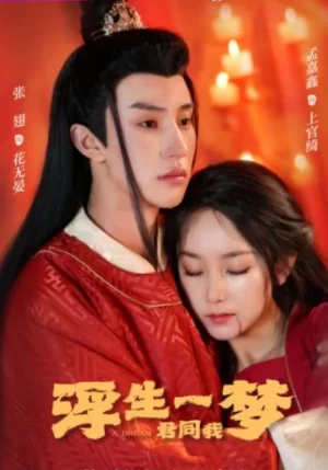 浮生一梦君同我海报
