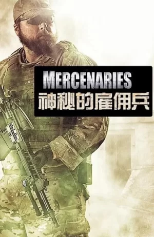 神秘的雇佣兵海报