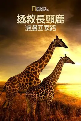营救长颈鹿之漫漫归途海报