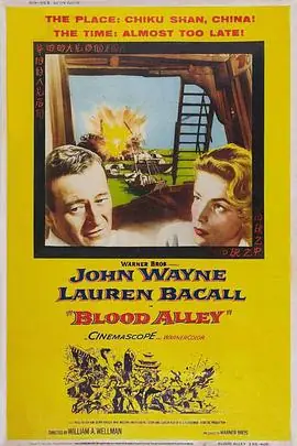 血巷BloodAlley海报