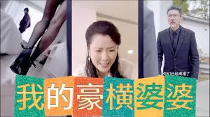 我的豪横婆婆海报