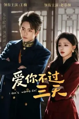 爱你不过三天海报