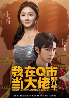 我在Q市当大佬那几年海报