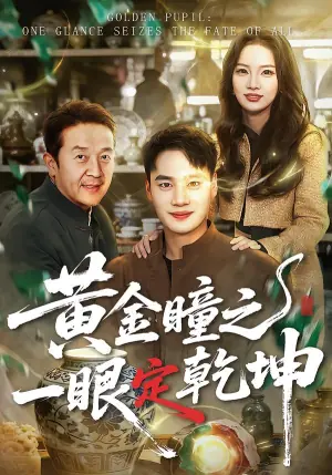 黄金瞳之一眼定乾坤海报