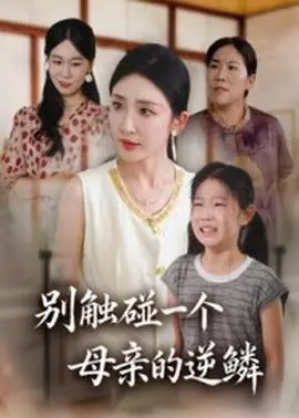 别触碰一个母亲的逆鳞海报