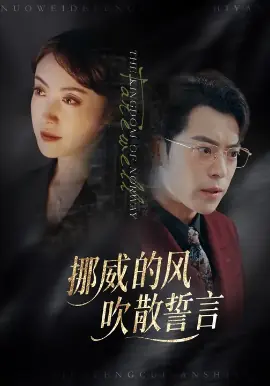 挪威的风,吹散誓言海报