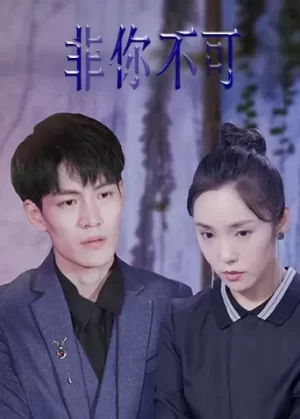 非你不可海报