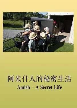 阿米什:秘密的生活海报